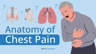 Heart or Something Else? The Anatomy of Chest Pain Unveiled