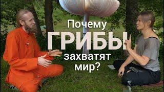 Про грибы | Как грибы захватят мир? Природный интернет, взаимопомощь и экология