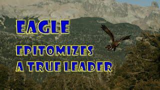 Eagle | Epitomizes A True Leader