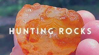 “Just One More...” Rockhounding Aussie Agates