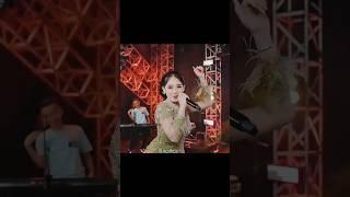 Kut Kut Song !! Kut Kut !! Apad Ti Te Te Na Song(1080p) #viralreels