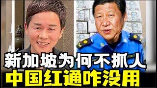 新加坡为何不抓中国嫌犯，中国红通为何没用，红通是什么，新加坡30亿洗钱案犯没有遣返中国，中国新加坡没有引渡条例，中国引渡条例国家有哪些（小木谈天第509期20241210）