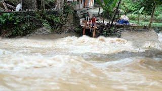 After the historic flood, my family's bridge was washed away - Chuc Ton Binh