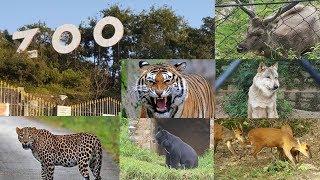 All animals of Nainital Zoo