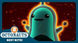 @Octonauts -  The Mysterious Creatures of the Hidden Lake  | Season 4 | Best Bits!