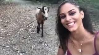 Funny animal videos!!! MUST WATCH.ANIMAL VIDEOS. #youtube #homepage #animals