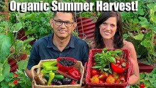 Organic Summer Harvest from the Vegetable Garden Grocery Store (& a Few Surprises!)