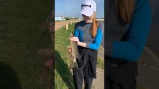 Не повезло малышке #рыбак #fishing #рыбалка #риба #риболов #рибалка #щука #рыба #fish #окунь