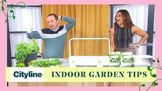 The indoor smart garden systems to grow your own food