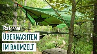 Tree tent – a different way to spend the night | The Counselors