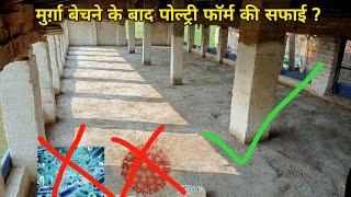 How To Clean Poultry Farm