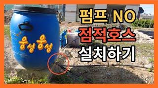 펌프 없이 점적호스 사용하기 (제일 간단한 점적호스 설치 방법)