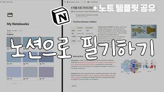 필기는 노션으로 정착했어요 | Notion 필기노트 템플릿으로 쉽게 필기하기