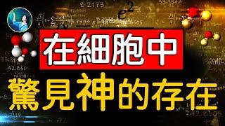 神靠一個數字，精心設計了宇宙，還展現在我們身體裡！維持數十億年，物理學家至今無解。從基本粒子到宏觀宇宙，若無此數，就是重寫宇宙歷史。｜ #未解之謎 扶搖