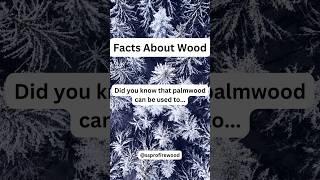 Palmwood is Used For?