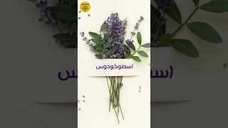 درمان استرس و اضطراب شدید: اختلال اضطراب اجتماعی | درمان اضطراب اجتماعی #shorts #جادوی_جوان# درمان