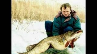 New world record pike 63 lb 14 oz (29 kg)