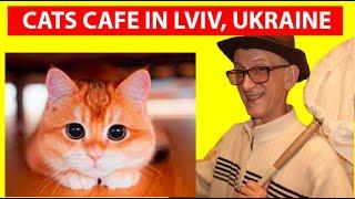 Кошачье Кафе, Кофемания и Очарование Львова. Cats Cafe Lviv, Ukraine. Энтомолог на Выезде во Львове.