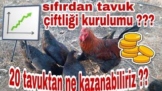 Sıfırdan tavuk çiftliği kurma ?!? (20 tavuktan ne kazanırız !!!)#tavukkümesi #otantikbilgiler