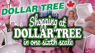 Dollar Tree Shopping for One Sixth Scale Miniatures for My Dollhouses and Dioramas