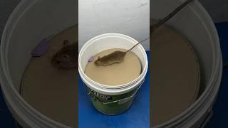 Best mouse trap ideas // Good homemade mouse trap plastic bucket #rattrap #rat #mousetrap #shorts