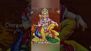 #murugan #muruganthunai #muruganarul #murugandevotes #arumugam #devotees #positivevibes #thaipusam