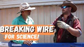 We Break Stuff! Soft Vs High Tensile Wire in Your Fence