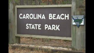 Carolina Beach State Park Campground Tour