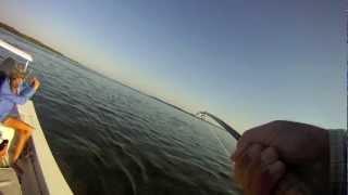 Fly Fishing For Florida Keys Migratory Tarpon