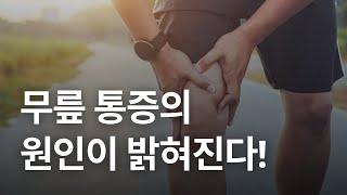 무릎 통증의 원인이 밝혀진다!