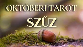 ️ SZŰZ –A VÁLASZTÁS EREJE // 2024 OKTÓBERI TAROT