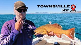 Bait Fishing Inshore Reef off Townsville