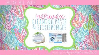 norwex cleaning paste & spirisponges - megan bell smith