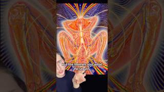 Psychedelic Art by Alex Grey @CoSMvision #psychedelicart #alexgrey #spiritualart