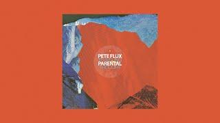 Pete Flux & Parental - Traveling Thought (2014) [Full EP]