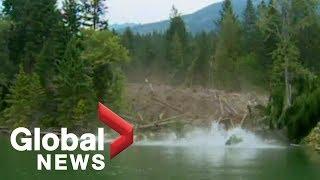 EPIC mudslide caught on camera [Raw Video]