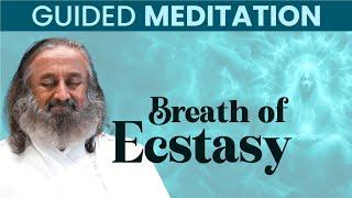 Guided Meditation For Intense Relaxation | Gurudev