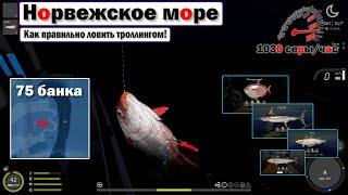 Как правильно троллить на море • Норвежское Море • Русская Рыбалка 4