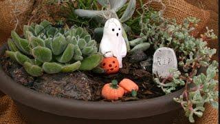 Tagawa Gardens Centennial & Denver CO | Top Reviews for holiday Fairy garden supplies