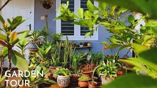 Summer Garden Tour - Garden Makeover and More