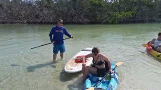 Islandbreezekayaktours.com