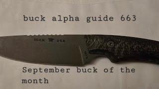 my favorite edc fixed blade September buck of the month alpha guide 663