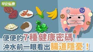 便便的7種健康密碼，沖水前一眼看出腸道隱憂！【早安健康】