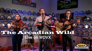 The Arcadian Wild Live on the WDVX Blue Plate Special (Full Performance)