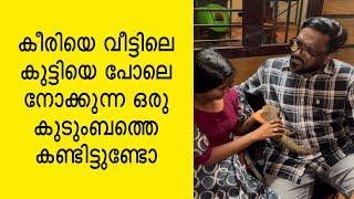 കീരിയെ വീട്ടിലെ കുട്ടിയെ പോലെ നോക്കുന്ന ഒരു കുടുംബത്തെ കണ്ടിട്ടുണ്ടോ