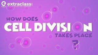 How does Cell division Takes place | Biology | Extraclass.com