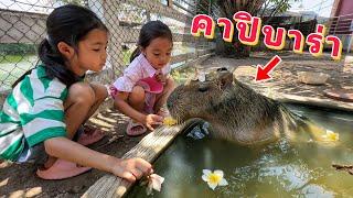 เย่!  ดีใจมาก เจอคาปิบาร่า...แล้ว | บริ้งค์ไบรท์