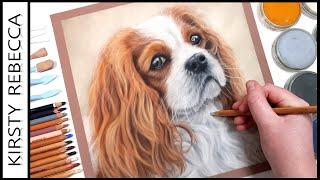 TOP TIPS for drawing a REALISTIC DOG! // Improve your PASTEL drawings!