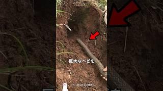 Why send a snake into a hole?