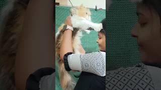 2024-2022 Nee partha vizhigal x oru kili oru kili️ #cat #shorts #status #viral #love #trending